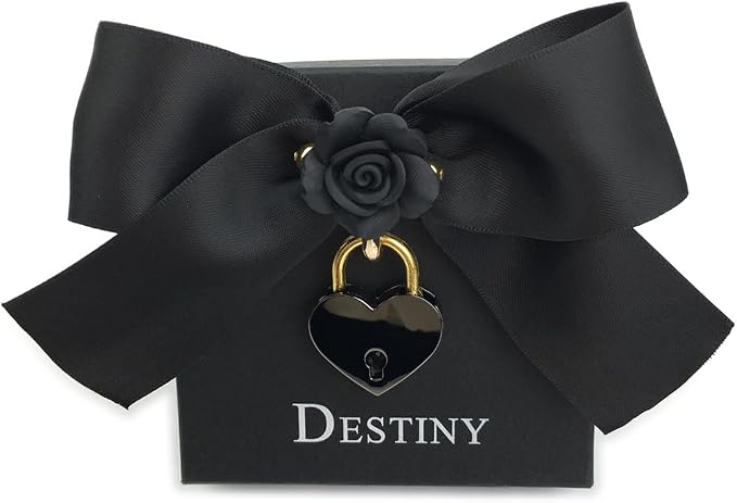 Destiny Love Handmade Rose Flower Choker Collar Necklace Velvet Necklace with Box for Women and Men