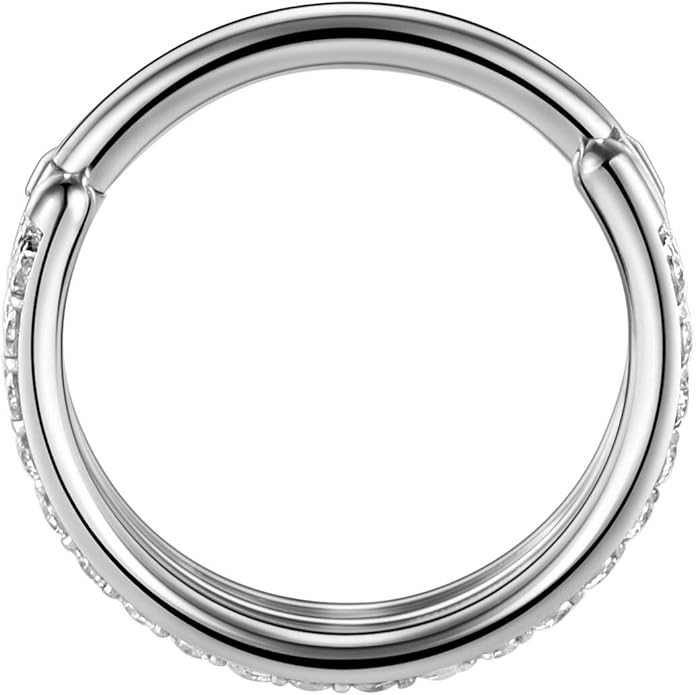 316L Surgical Steel Septum Clicker Ring Nose Ring Hoop Sleeper Hoop Earring Helix Rook Conch Cartilage Daith Tragus Earrings Lobe Nose Piercing Jewelry for Women