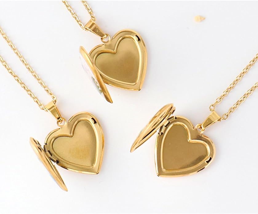 Heart Locket Necklace That Holds Pictures Pressed Flower Photo Locket Pendant Necklace for Girl Women Gift for Her