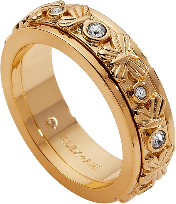 Alex and Ani Fidget Spinner Ring