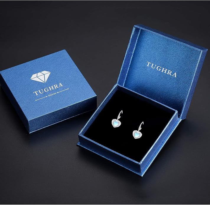 Trendy Dangle Earrings for Women Teen Girls Sterling Silver 12 Birthstone Earrings Minimalist Hypoallergenic Earrings for Sensitive Ears Jewelry Gifts