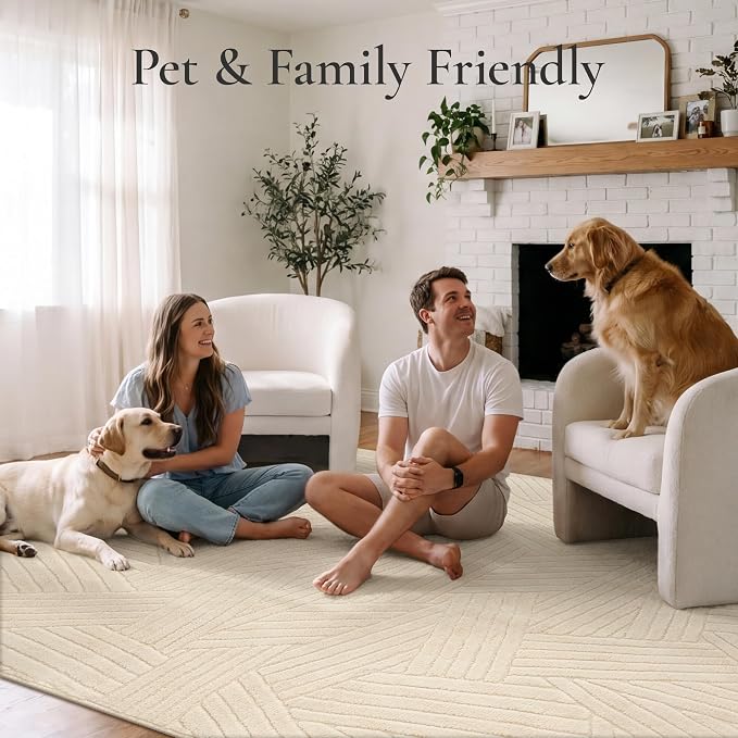 GENIMO Soft Washable Area Rugs 5x7, 3D Modern Line Design Rugs for Living Room, High-Low Pile Textured Non Slip Fuzzy Shag Carpet, Non-Shedding Stain Resistant Beige Carpet for Bedroom, Dining Room