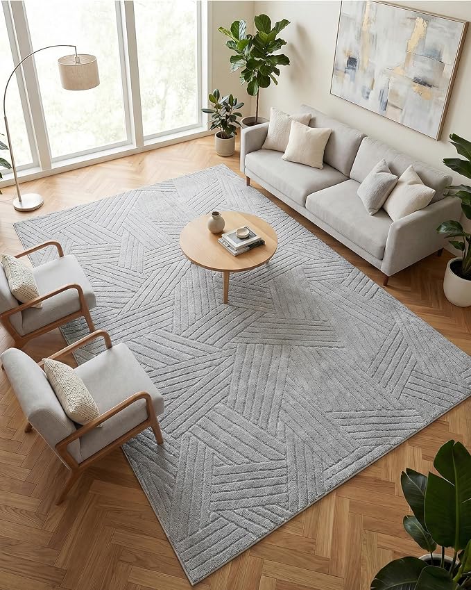 Carvapet 6x9 Area Rug - Grey Modern 3D High Low Pile Texture Floor Carpet, Luxurious Knitted Swirl Pattern Washable Soft Plush Rug with Skid-Resistant Backing for Living Room Dining Room