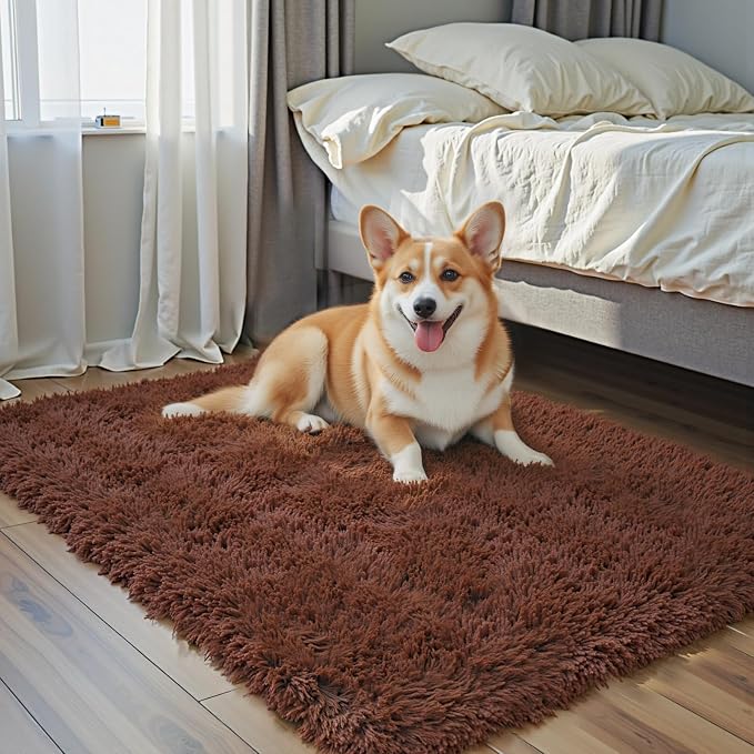Fluffy Rug Shag Area Rug,Coffee 3x5 Area Rugs for Bedroom | Non-Slip Small Soft Bedside Rug for Entryway,Living Room and Home Office