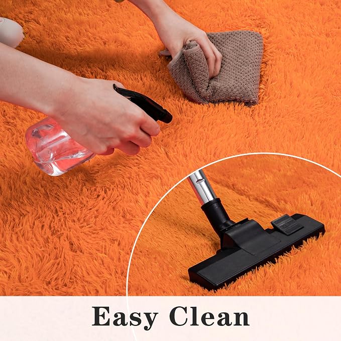 Dssimo Orange Rug for Bedroom Living Room, 6x9 Soft Shaggy Area Rugs | Large Plush Fluffy Upgrade Non-Slip Burnt Orange Rug for Nursery Kids Room Dorm Room Home Decor, Indoor Plush Floor Carpet