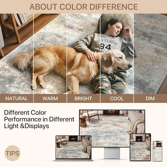GENIMO Abstract Area Rug 5x7, Washable Modern Rug Non Slip, Low Pile Lightweight Soft Large Carpet for Living Room, Bedroom, Dining Room, Silver Tan