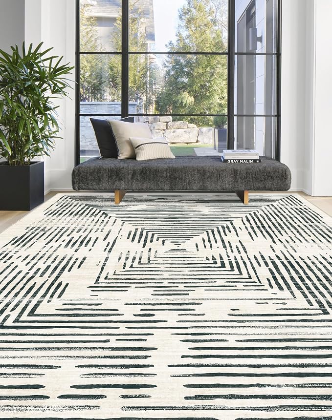 BLISSA Large Washable Area Rugs 9x12 - Soft Black White Lines Borderd Modern Abstract Rug for Living Room Ultra-Thin Geometric Striped Carpet for Bedroom Nursery Dining Room Office Home Decor