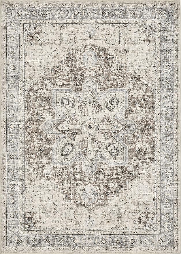 Tortania Area Rug Living Room Rugs - 6x9 Washable Boho Rug Vintage Oriental Distressed Farmhouse Large Thin Indoor Carpet for Living Room Bedroom Under Dining Table Home Office - Brown Blue
