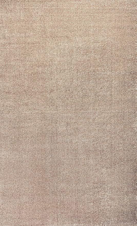 JONATHAN Y Haze Solid Low-Pile Beige Indoor Area Rug 5x8, Coastal,Bohemian,Minimalist,Classic, Easy-Cleaning for Living Room,Bedroom,Kitchen,Pet Friendly,Non-Shedding (SEU100G-5)