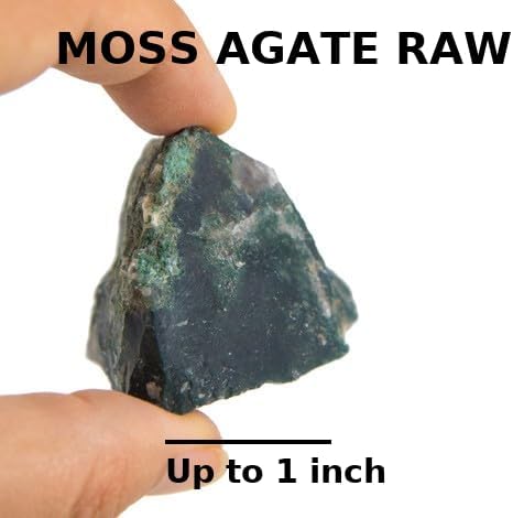 Large 1.25-2.0” Natural Moss Agate Raw Crystals Stones for Meditation, Chakra, Reiki, Crystal Grid, Energy Work, Wire Wrapping, Tumbling & Spiritual Home Decor