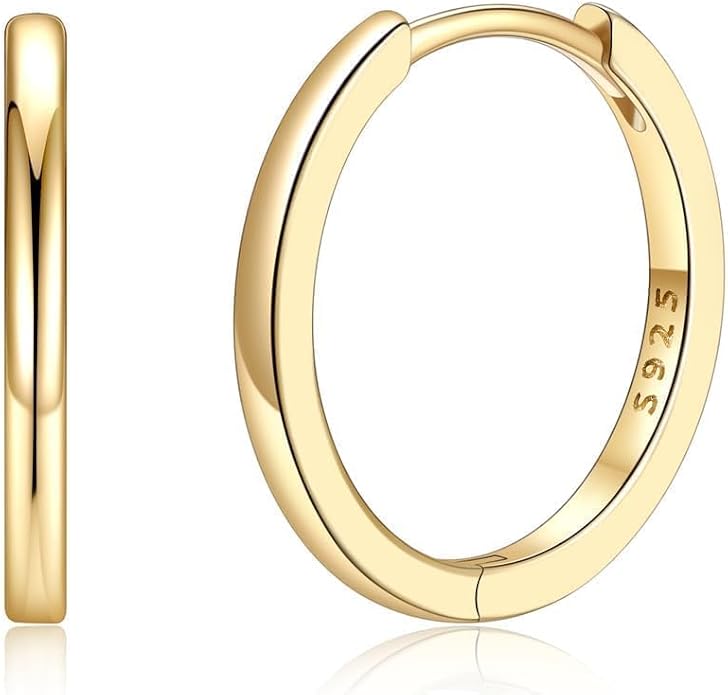 Silvora Sterling Silver Hoop Earrings for Women, Small Hoops 14K Gold Plated/925 Silver/Rose Gold/Black, Hypoallergenic Huggie Lightweight Cartilage Sleeper Earrings 8/10/12/14/16/18/20mm