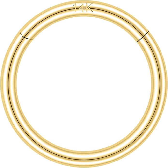 SYLWIA 14K Solid Gold 18g/16g Nose Rings, 6/8/10mm Hinged Segment Septum Rings, Real Gold Lip Tragus Helix Cartilage Conch Earring Hoops Piercing for Women Men