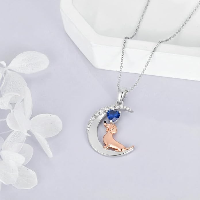 PROESS Animal Birthstone Necklace 925 Sterling Silver Otter/Axolotl/Hippo/Elephant/Dachshund/Monkey/Red Panda Pendant Necklace Animal Birthstone Jewelry Gifts for Women