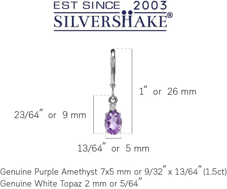 Silvershake White Gold Plated 925 Sterling Silver Leverback Earrings