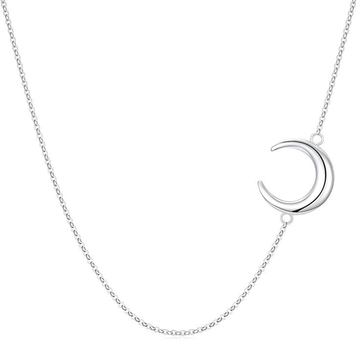 Midari Ocean Necklace 925 Sterling Silver Flamingo Mama Bear Dolphin Penguin Sea Turtle Axolotl Desert Cactus Nautical Rudder Tropical Palm Compass Wave Pendant Boho Jewelry Gifts for Women Men