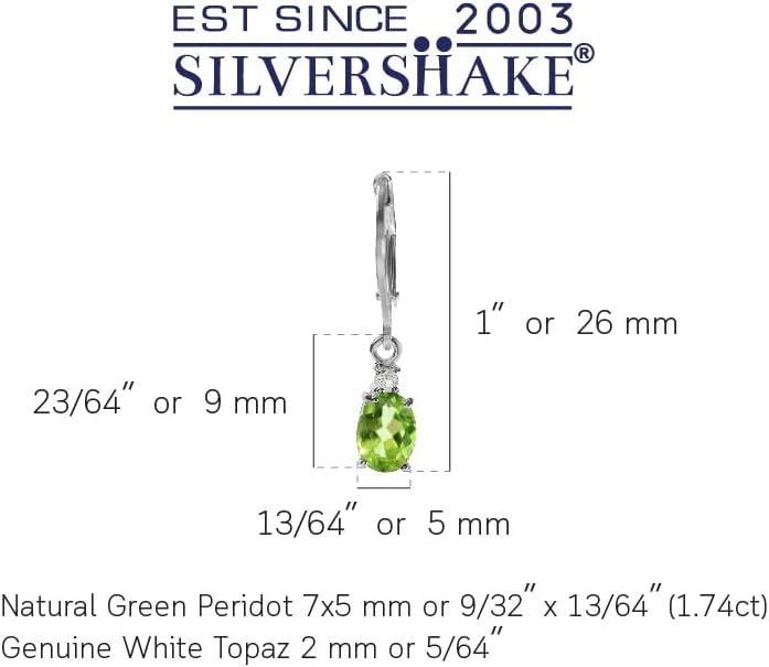 Silvershake White Gold Plated 925 Sterling Silver Leverback Earrings
