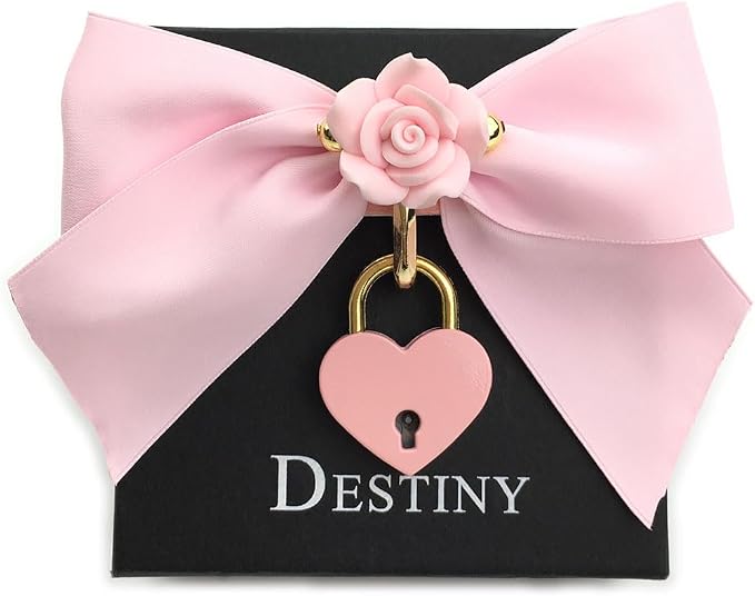 Destiny Love Handmade Rose Flower Choker Collar Necklace Velvet Necklace with Box for Women and Men