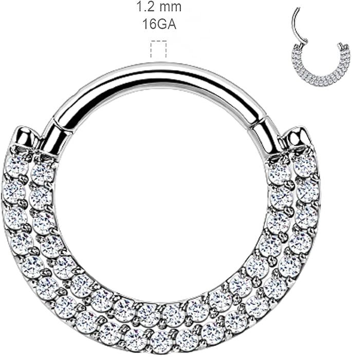 Pierced Owl - 16GA G23 Implant Grade Titanium Double CZ Crystal Lined Cartilage Helix Daith Septum Hinged Segment Ring