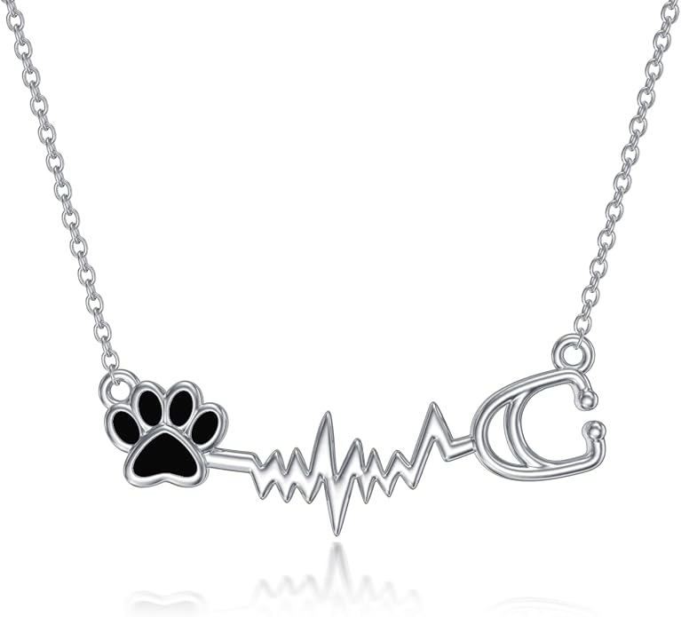 Birthstone Veterinary Stethoscope Necklace 925 Sterling Silver Nurse Vet Pendant with Dog Paw Nurse Jewelry Gifts for Veterinarian Nurse Women Veterinarian Gifts