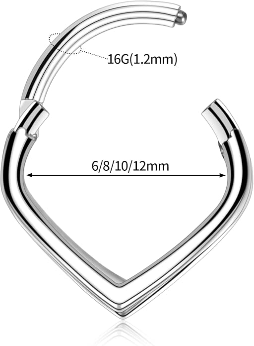 316L Surgical Steel Septum Clicker Ring Nose Ring Hoop Sleeper Hoop Earring Helix Rook Conch Cartilage Daith Tragus Earrings Lobe Nose Piercing Jewelry for Women