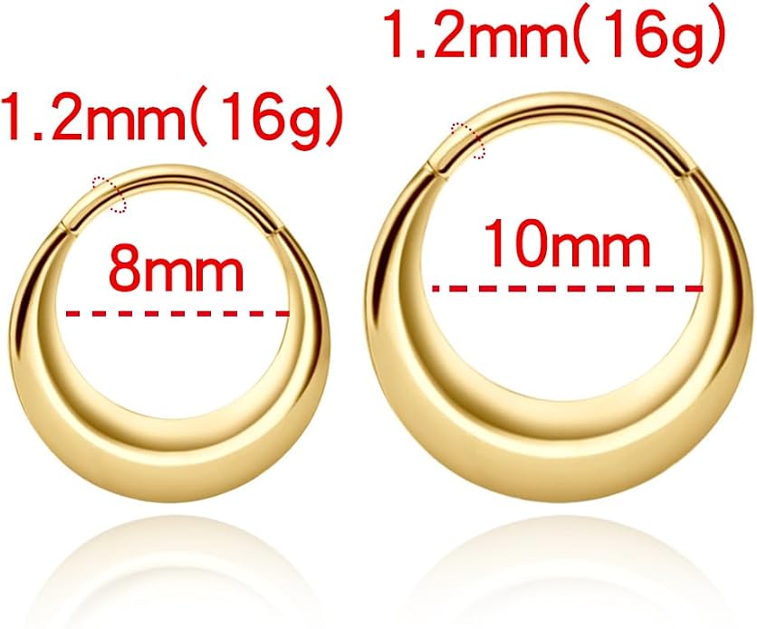 MOQIKAKA16G 8mm Septum Rings - Stainless Steel Segment Nose Rings for Women Men - Hinged Segment Nose Helix Cartilage Clicker Hoop Earrings for Daith Rook Tragus Piercing