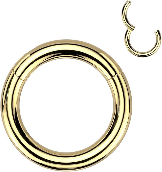 Pierced Owl 12GA-00GA Large Gauge F136 Implant Grade Titanium 12mm Diameter Hinged Segment Clicker Ring