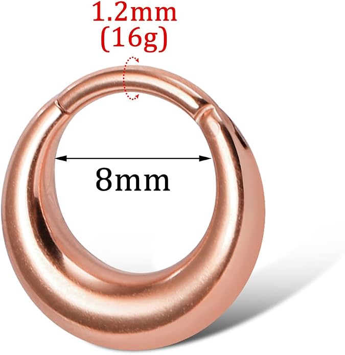 MOQIKAKA16G 8mm Septum Rings - Stainless Steel Segment Nose Rings for Women Men - Hinged Segment Nose Helix Cartilage Clicker Hoop Earrings for Daith Rook Tragus Piercing