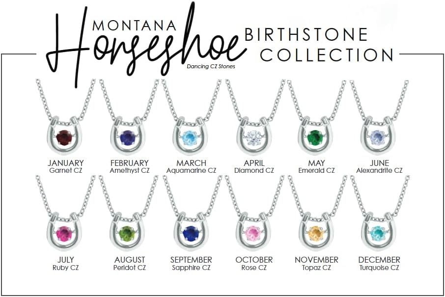 Montana Silversmiths Women's Dancing Birthstone Cubic Zirconia Horseshoe Pendant Necklace
