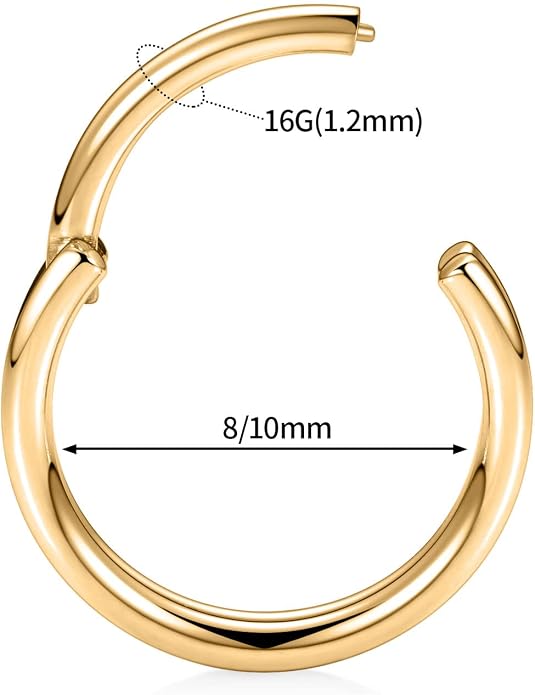 316L Surgical Steel Septum Clicker Ring Nose Ring Hoop Sleeper Hoop Earring Helix Rook Conch Cartilage Daith Tragus Earrings Lobe Nose Piercing Jewelry for Women