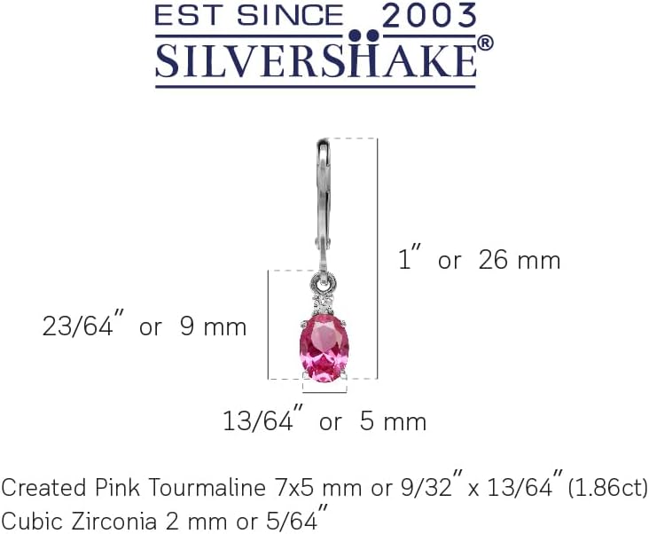 Silvershake White Gold Plated 925 Sterling Silver Leverback Earrings
