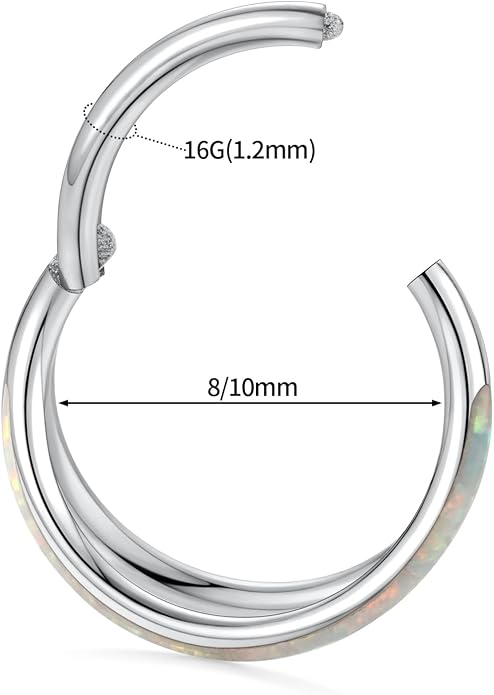 316L Surgical Steel Septum Clicker Ring Nose Ring Hoop Sleeper Hoop Earring Helix Rook Conch Cartilage Daith Tragus Earrings Lobe Nose Piercing Jewelry for Women