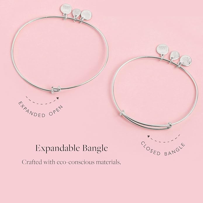 Alex and Ani Evil Eye II Bracelet