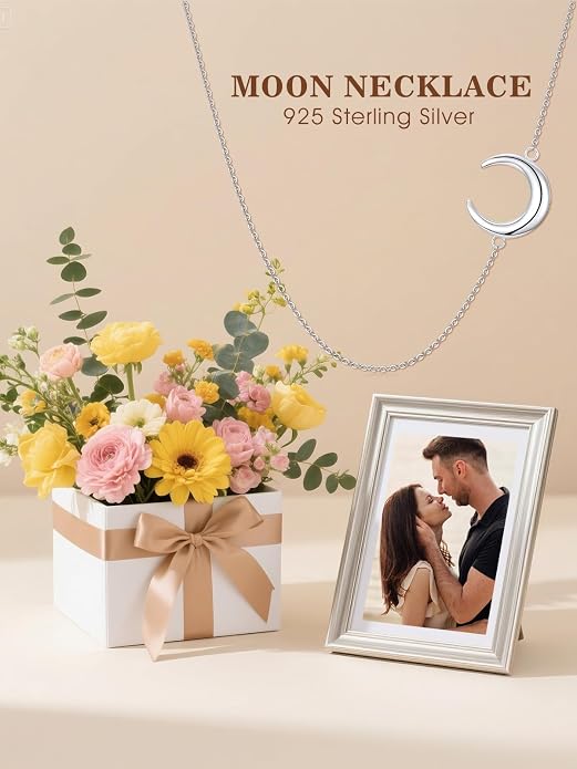 Midari Ocean Necklace 925 Sterling Silver Flamingo Mama Bear Dolphin Penguin Sea Turtle Axolotl Desert Cactus Nautical Rudder Tropical Palm Compass Wave Pendant Boho Jewelry Gifts for Women Men