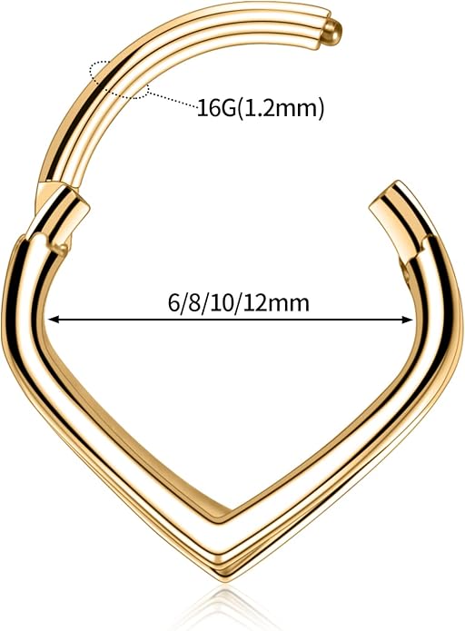 316L Surgical Steel Septum Clicker Ring Nose Ring Hoop Sleeper Hoop Earring Helix Rook Conch Cartilage Daith Tragus Earrings Lobe Nose Piercing Jewelry for Women