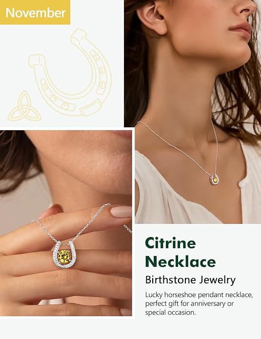 925 Sterling Silver Horseshoe Necklace for Women Round Gemstone Birthstone Necklace Sapphire/Emerald/Ruby/CZ Horse Shoe Pendant Necklaces Jewelry Gift