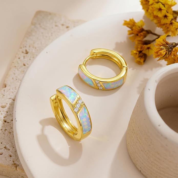 Gold Dainty Hoop Earrings for Women Hypoallergenic Lightweight 14K Gold Huggie Earrings Jewelry Valentines Day Gifts for Wife Girlfriend Her