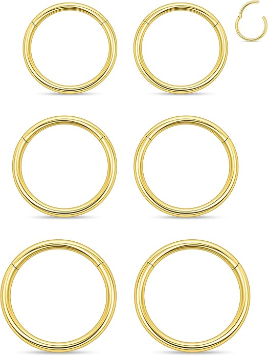 20G 18G 16G 14G 12G 10G 8G 6G 4G 2G Nose Rings Hoops 316l Surgical Steel Clicker Septum Lip Ring Tragus Helix Daith Rook Conch Snug Cartilage Lobe Earrings Hoop Piercing Jewelry For Women Men