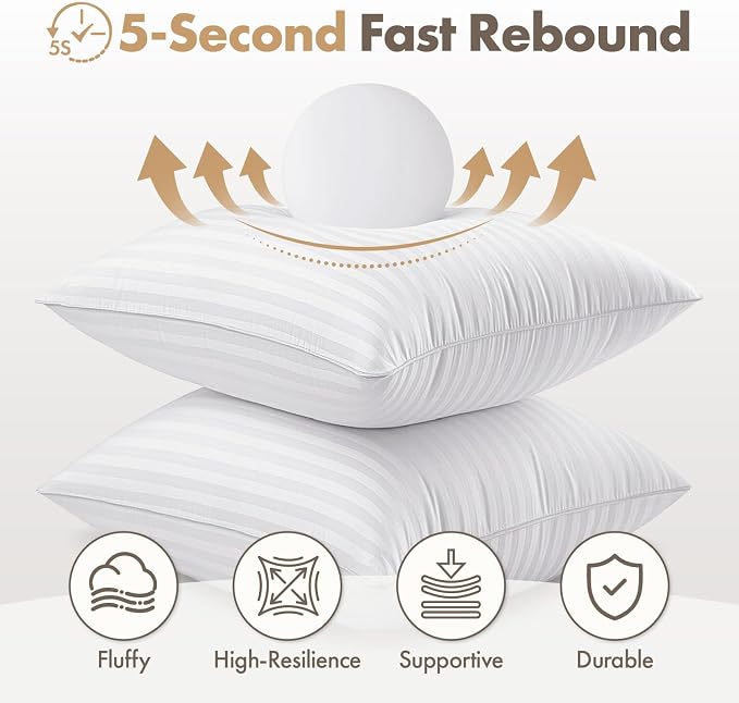 MIULEE 22x22 Throw Pillow Inserts Set of 2, 100% Virgin Microfiber Filling | Firm and Fluffy Decorative Pillows for Couch Sofa Bed, Cotton Cover Pillow