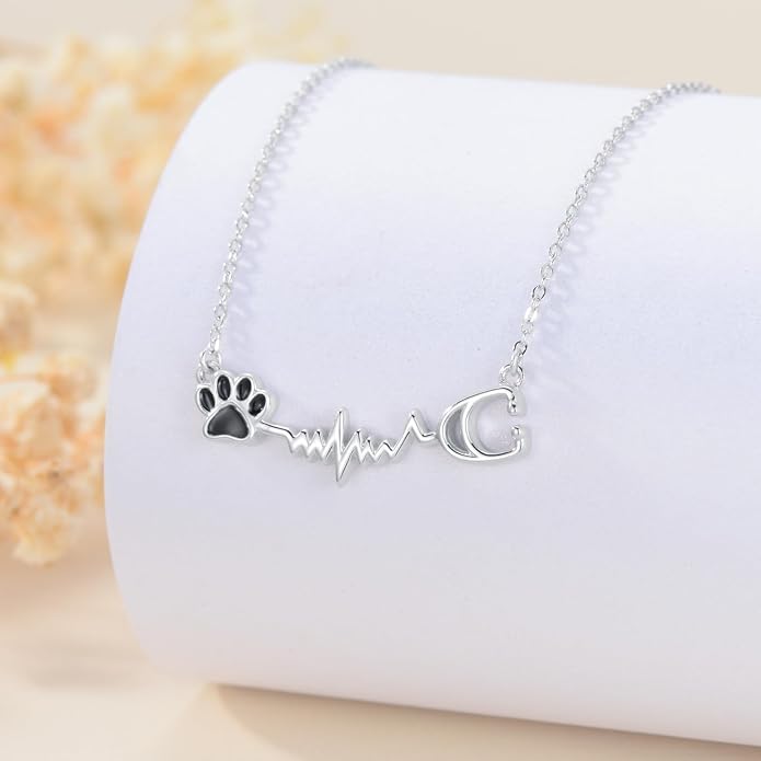 Birthstone Veterinary Stethoscope Necklace 925 Sterling Silver Nurse Vet Pendant with Dog Paw Nurse Jewelry Gifts for Veterinarian Nurse Women Veterinarian Gifts