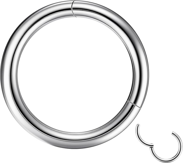 20/16G CZ Hinged Nose Rings Hoop, 316L Surgical Stainless Steel Cartilage Earring, Septum Clicker Ring, Daith Helix Rook Tragus Conch Lip Lobe Piercing Jewelry