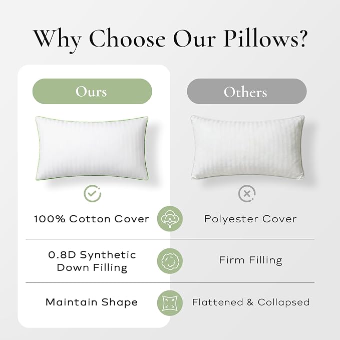 Ashler Home Deco Synthetic Down Pillow Inserts, 24x24 Down Alternative Throw Pillows Insert Sleeping Pillows with 100% Cotton Cover Decorative Pillow Stuffer for Sofa, Couch Bed(Set of 2, White)