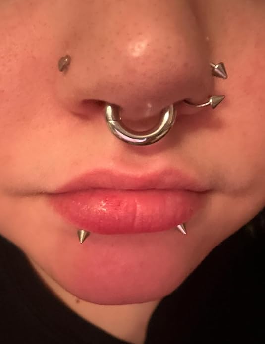 20G-2G Surgical Steel Hinged Clicker Septum Nose Rings Gauges Earrings Seamless Hoops Eyebrow Lip Ring Cliker Helix Tragus Daith Rook Earrings for Women Men
