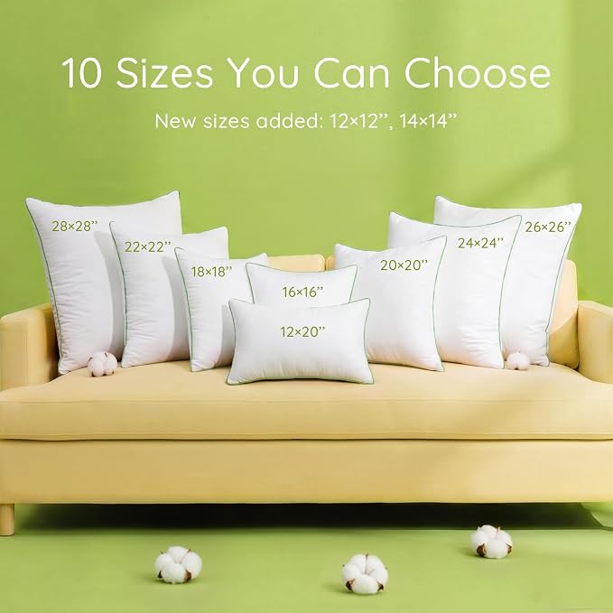 Ashler Home Deco 20x20 Pillows Insert (Set of 2) - Throw Pillow Inserts with 100% Cotton Cover - 20 Inch Square Interior Sofa Stuffer Pillow Inserts -Decorative White Couch Pillow