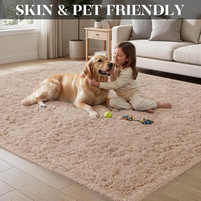 Area Rug for Living Room Bedroom: 4x6 Soft Fluffy Shag Rugs Upgrade Non-Slip High Pile Carpet Large Fuzzy Plush Indoor Floor Shaggy Carpets for Nursery Kid Playroom Office Dorms Home Decor Beige