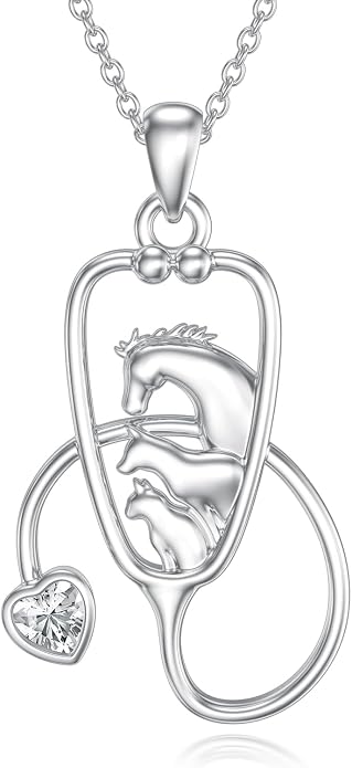 Birthstone Veterinary Stethoscope Necklace 925 Sterling Silver Nurse Vet Pendant with Dog Paw Nurse Jewelry Gifts for Veterinarian Nurse Women Veterinarian Gifts