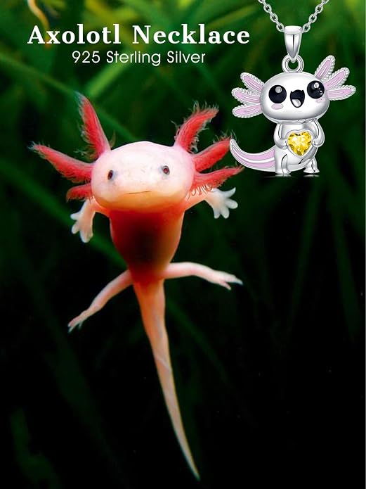 Dorunmo Axolotl Necklace 925 Sterling Silver Axolotl Birthstone Pendant Cute Animal Axolotl Jewelry Gifts for Women