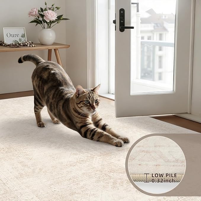 3x5 Area Rugs for Living Room: Vintage Boho Neutral Washable Rug Indoor Soft Large Area Rug Carpet for Bedroom Nursery Farmhouse Dining Room Office Floor Non-Slip Low Pile Under Table Rug Beige