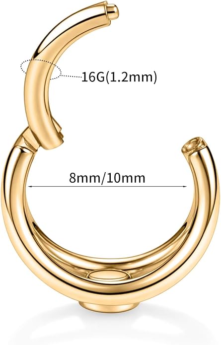 316L Surgical Steel Septum Clicker Ring Nose Ring Hoop Sleeper Hoop Earring Helix Rook Conch Cartilage Daith Tragus Earrings Lobe Nose Piercing Jewelry for Women