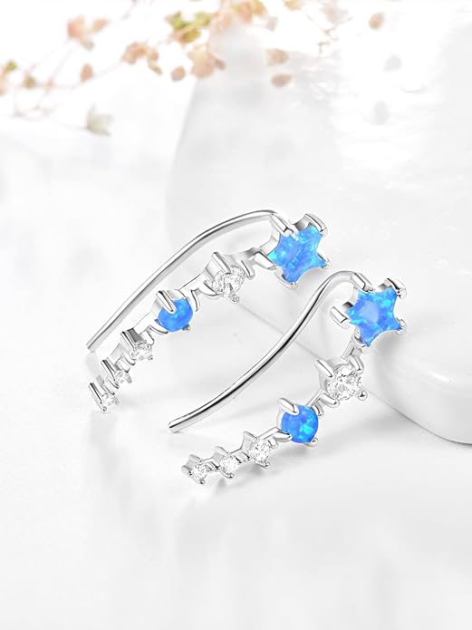Dreamboat Star Ear Climbers Earrings for Women 925 Sterling Silver Star Ear Cuffs Crawler Earring Cubic Zirconia Climbing Jewelry Wedding Birthday Gifts