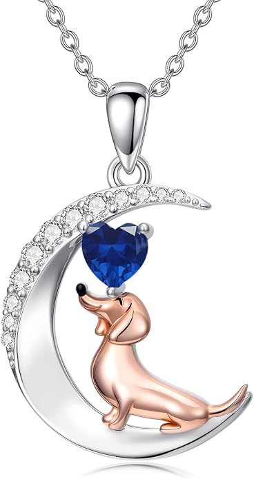 PROESS Animal Birthstone Necklace 925 Sterling Silver Otter/Axolotl/Hippo/Elephant/Dachshund/Monkey/Red Panda Pendant Necklace Animal Birthstone Jewelry Gifts for Women